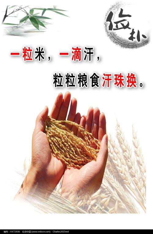 做个墨西哥护照